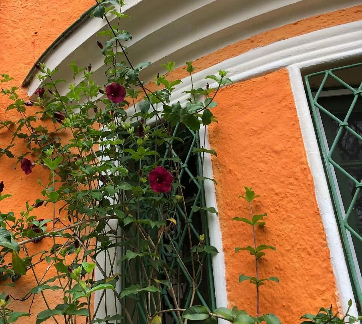 阿雷格里港 Casa Moinhos De Vento Vintage酒店 0*,